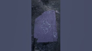 "Altar" New Preset Pack by Imer6ia for BLEASS SampleWiz 2