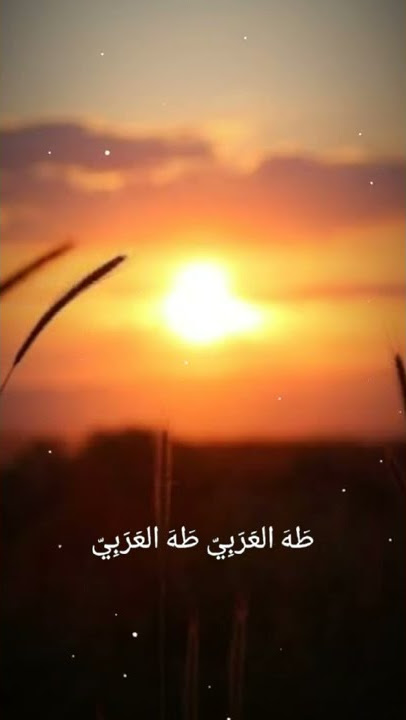 Al Qolbu Mutayyam #sholawat #shorts #story #storywa #berdoa #doa