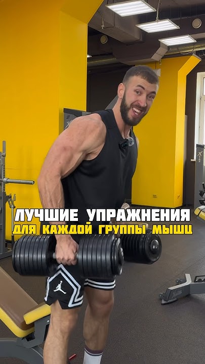 Лучшие упражнения для каждой группы мышц💪🏼 - YouTube
