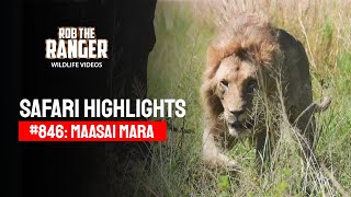 Safari Highlights 06 November 2025 Maasai Marazebra Plains Latest Sightings