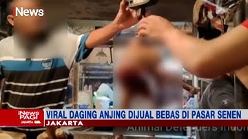 Viral! Daging Anjing Dijual Bebas di Pasar Senen #iNewsPagi 13/09