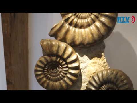 Methodes voor het dateren van rots en fossielen die door paleontologen worden gebruikt