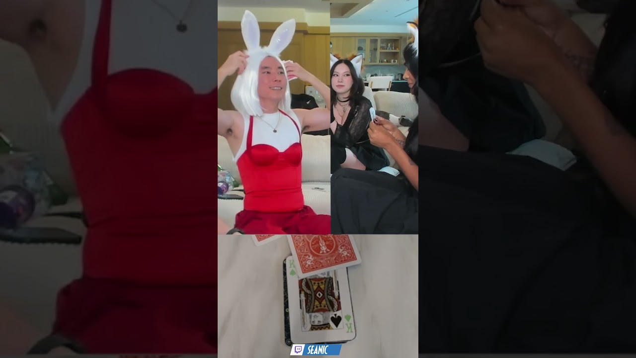 don't get distracted by bunny Seanic
