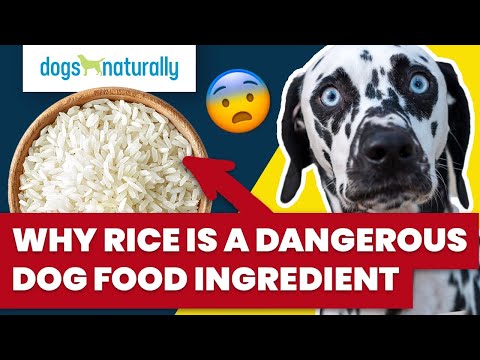 Wideo: Dlaczego piwowary zawierają ryż w karmach dla psów?