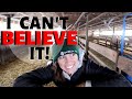 HOW DID THEY DO??  Results from the first weaned lambs of 2020: Vlog 238