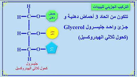 تحميل التركيب الجرائي Mp4 Mp3