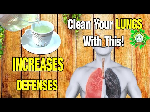 Clean Your LUNGS With This! INCREASES DEFENSES Treats RESPIRATORY CONDITIONS And More