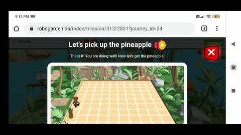 ROBOGARDEN Journey Part 2