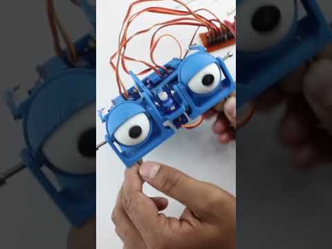 DIY robotic eye