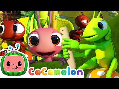 Row, Row, Row Your Boat V2 (Ant Version) | CoComelon Furry Friends | Animals for Kids