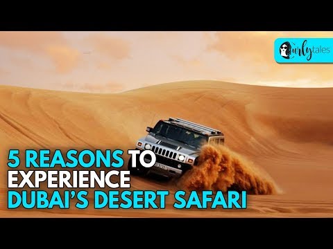 Dubai’s Desert Safari - 5 Reasons To Experience | Curly Tales
