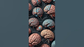 Is the Brain a Gateway to Other Dimensions?