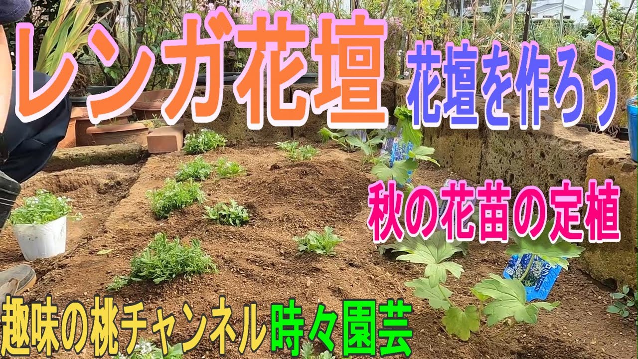 レンガ花壇】花壇を作ろう 秋の花苗の定植 23/12/3 - YouTube