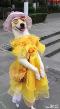 Uncle Epatan Ndiri kudanana Nembwa