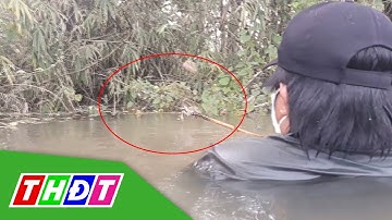 Săn ếch đồng mùa nước nổi | THDT