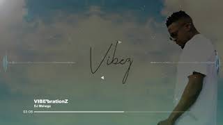 DJ Mshega - VIBE'brationZ (Official Audio)