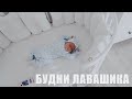 ПОЛЕЗНЫЕ ПРОГРАММЫ ДЛЯ МАЛЫШЕЙ