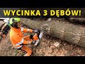 Wycilimy 3 dbcoki przetestowalimy dwie mini adowarki stihl ms500i w kocu uyta