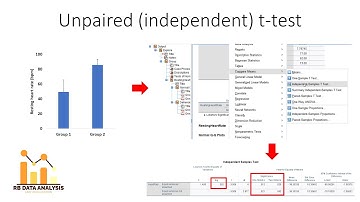 How to perform an independent t-test in SPSS (with assumptions!)