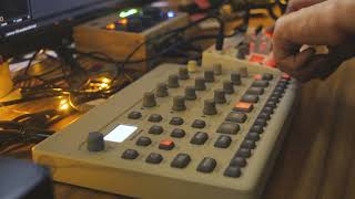 Elektron Model:Cycles, Korg Vocal Sample microhouse beat jam