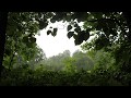 Rain Storm and Thunder 8 Hours / Rain Sounds for Relaxation