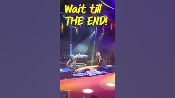 Circus Tricks Gone Wrong? Amazing High Jumps! #shorts #fun #fail