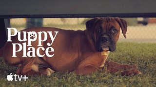 Puppy Place — Jack the Boxer | Apple TV+