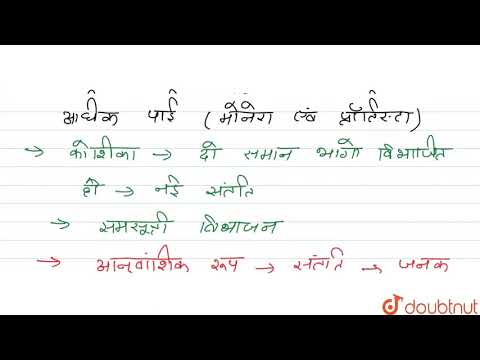 वीडियो: क्या प्याज अलैंगिक रूप से प्रजनन करते हैं?