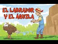 EL LABRADOR Y EL ÁGUILA (fábula)