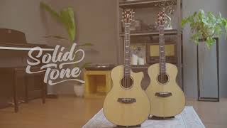 Cetta All Solid Guitar 2025 - Terbaru