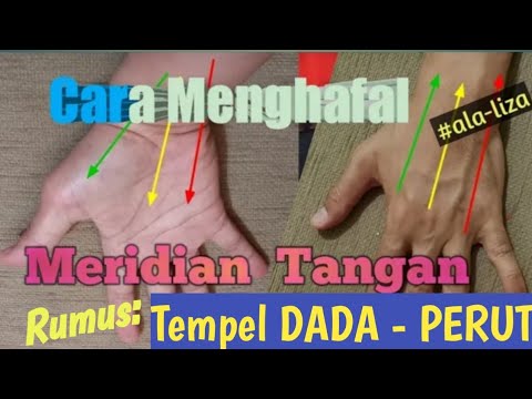 Video: Cara Menentukan Meridian Aksial