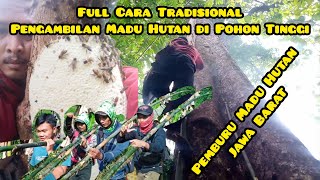 Cara Tradisional Panen Madu Hutan di Pohon Tinggi ❗ | Perjuangan Pemburu Madu Hutan Jawa Barat