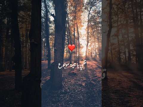 قلبي يا ميمة موجوع عاصي الحلاني