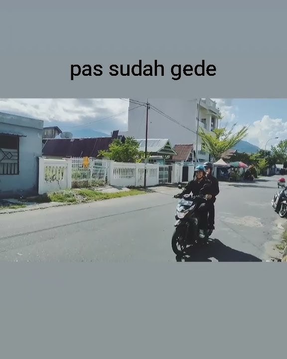 Monyet tok dalang udah gede