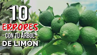 ❌ 10 ERRORES en tu LIMÓN - NO HAGAS ESTO! 2022