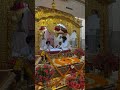 dhan dhan guru granth sahib ji#waheguru#goldentemple#khalsa#shorts#viralshorts