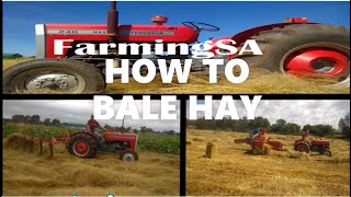 Baleing teff grass on our farm. | How to mow, rake and bale hay. | Massey Ferguson 240 &amp; 275.