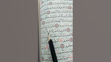 #تلاوة_هادئة #اسلام_صبحي #إسلام_صبحي #تلاوة_خاشعة #خواتيم_سورة_المؤمنون #سورة_المؤمنون #قرآن_كريم