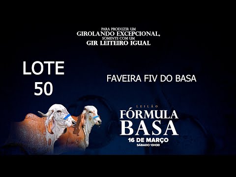 LOTE 50   BASA 2483