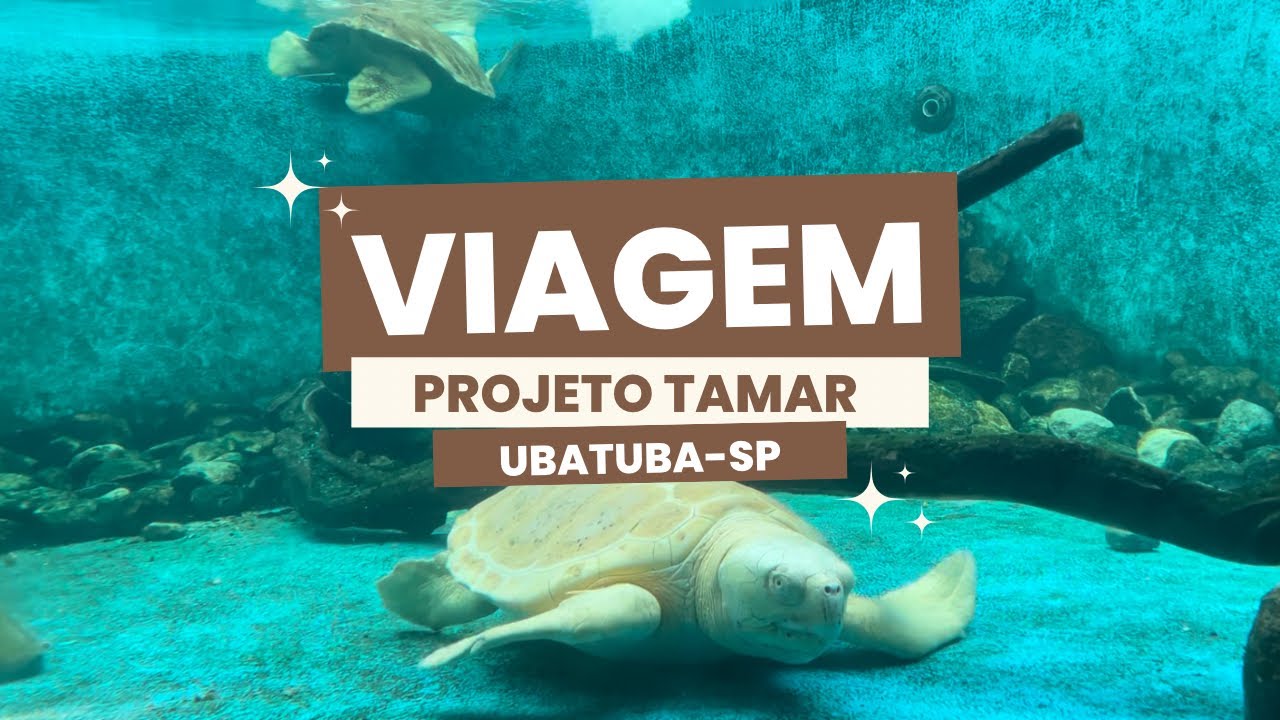 PROJETO TAMAR - Ubatuba - SP 2023