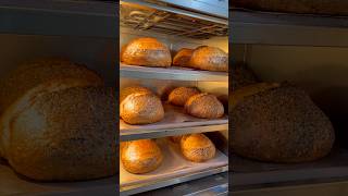 The most beautiful loaves! Six seed rye sourdough #organic #sourdoughbread #myforno #bread