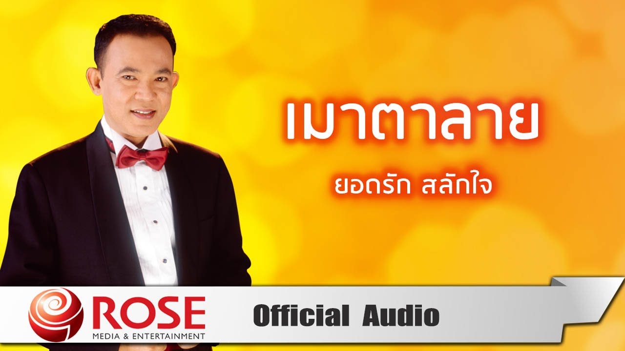 ปกเพลง เมาตาลาย (Audio) — YODRAK SALAKJAI