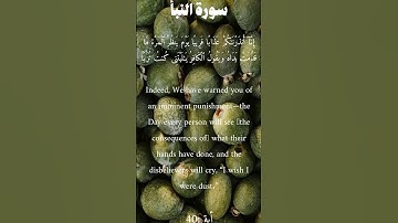 سورة النبإ من الأية 39 الى 40