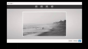 Pikock - create your online presence easily