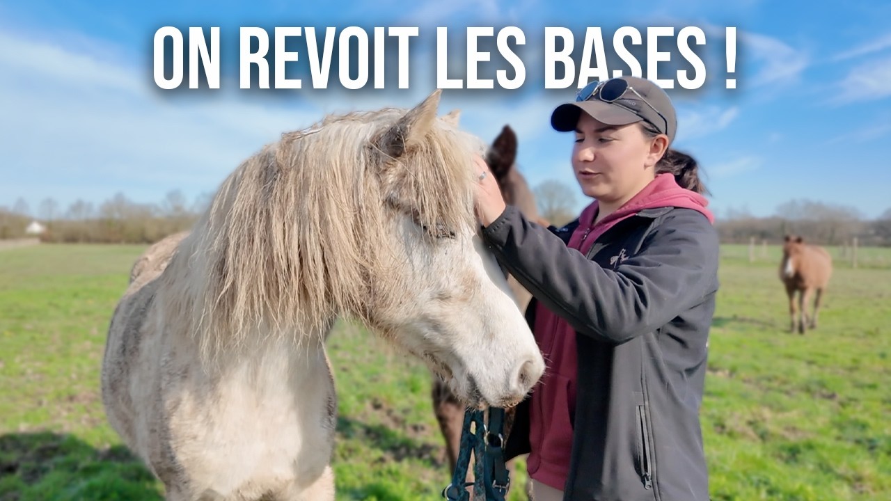 ON NE PEUT PAS CONTINUER COMME ÇA...