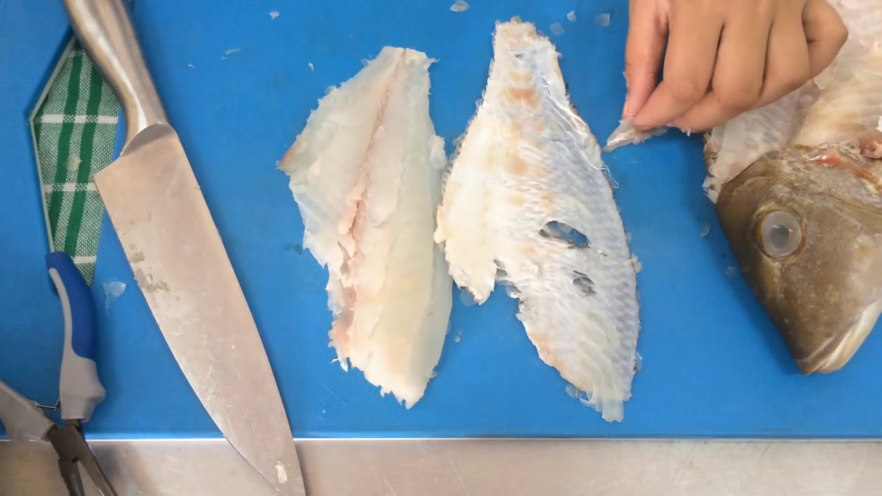 Basic Cutting of fish - YouTube