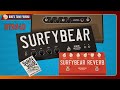 Btr40 surfy industries surfybear real spring reverb pedals review