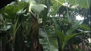 LAGU CUCU CAHYATI DAN IKE NURJANAH FULL ALBUM #lagulawas #lagulawas80an #lagudangdut #laguklasik 