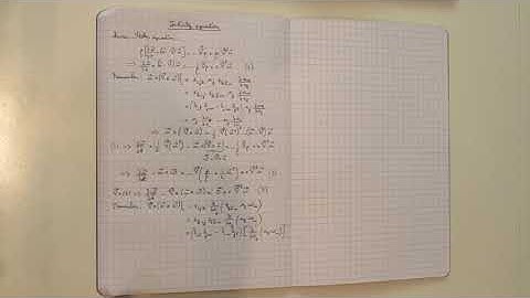 The vorticity equation