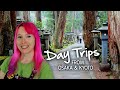 Day Trips from Osaka & Kyoto 🚅
